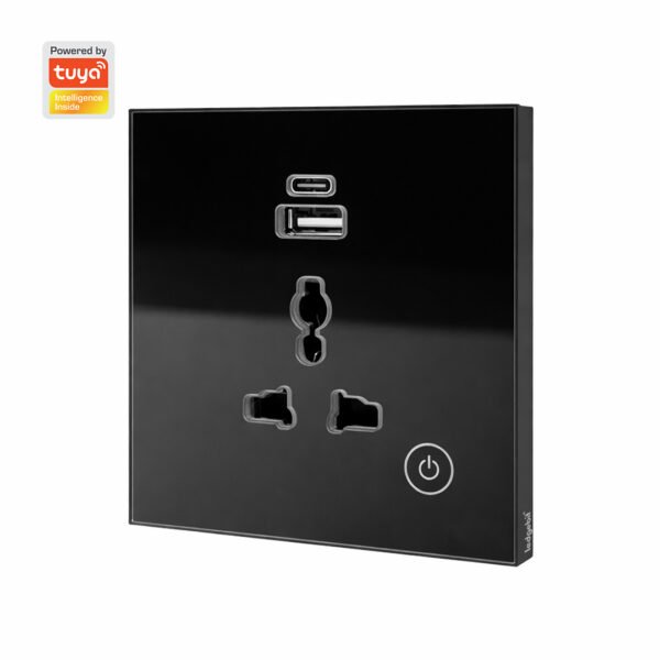 Ledgebit Smart Wi-Fi Wall Socket – 16A Outlet with USB-C & USB-A (Black)